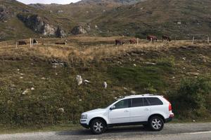 VOLVO XC90 AWD Geartronic Executive