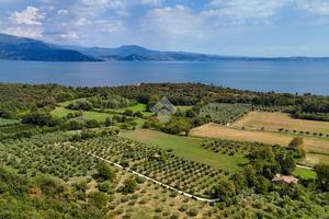 TERRENO A MANERBA DEL GARDA