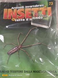 collezione insetti del mondo 