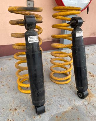 Kit conversione discovery td5