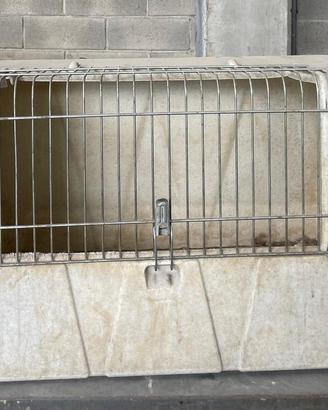 Trasportino / box auto per trasporto cani