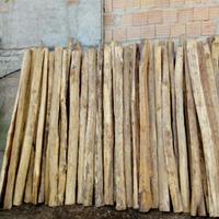 Paletti per recinzione in legno di caciaro