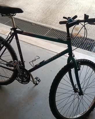 bicicletta mountain-bike 