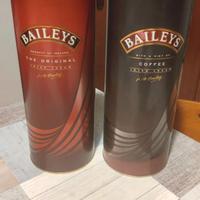 Coppia di custodie Baileys
