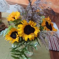 Aiuto in generale per anziani e non