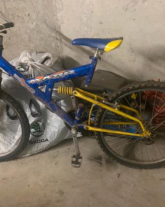 Mountain bike