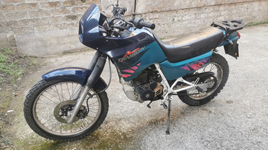 Honda 125 nx transcity