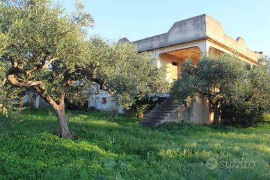 Rif.ITMZVD0347| villa mazara del vallo