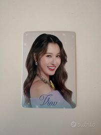 view photocard girls blush blossom fan fest 2025
