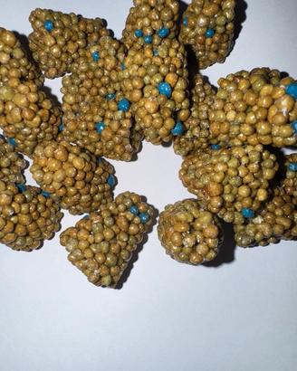 Coni Concime piante laghetto spedizione gratis