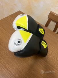 guantoni boxe