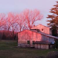 Rustico con terreno agricolo bio