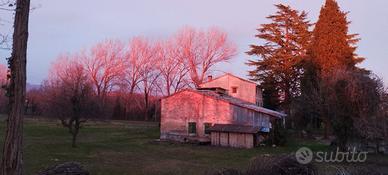 Rustico con terreno agricolo bio