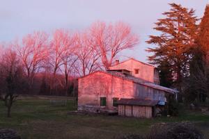 Rustico con terreno agricolo bio