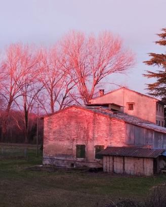 Rustico con terreno agricolo bio