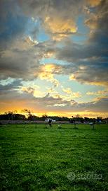 tracer 9 gt Yamaha tourer sport viaggio sport 