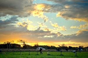 tracer 9 gt Yamaha tourer sport viaggio sport 