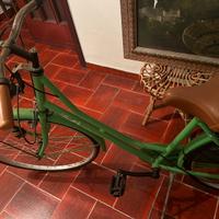 BICI  LOGATA LINDT ADULTO