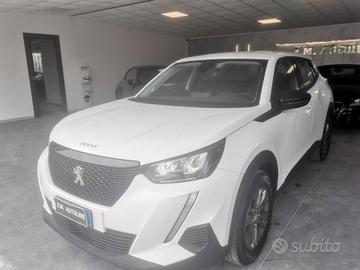 Peugeot 2008 BlueHDi 110 S&S Active Pack 2022