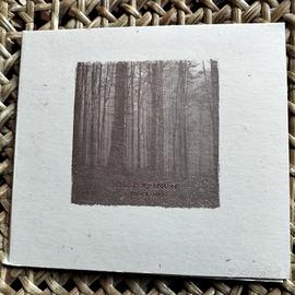 "A forest dark" Satan Is My Brother 