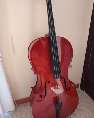 Violoncello da srudio