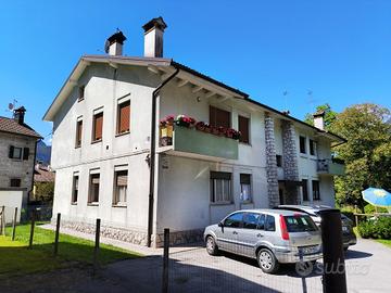 Tricamere con giardino Claut