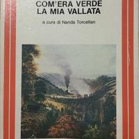 Com'era verde la mia vallata