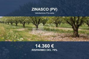 Immobile in asta di 21962 m² a Zinasco