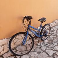 Bicicletta 