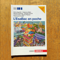 L'ESABAC en poche