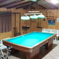 Biliardo Riscaldabile Professionale Longoni