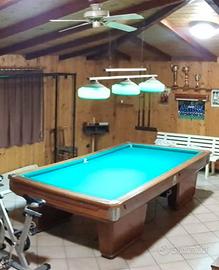 Biliardo Riscaldabile Professionale Longoni