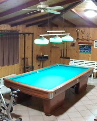 Biliardo Riscaldabile Professionale Longoni