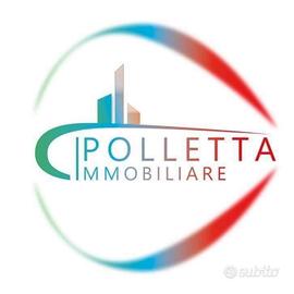 Soluzione indipendente in corte