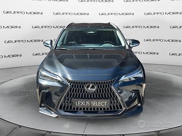 Lexus NX Hybrid Luxury 4WD MY22