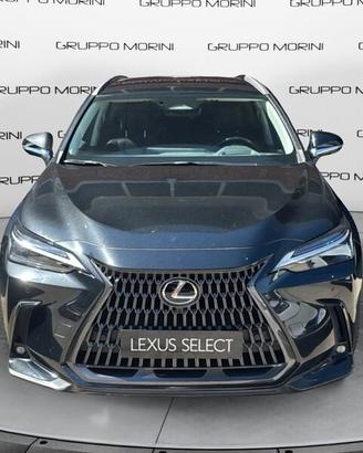 Lexus NX Hybrid Luxury 4WD MY22