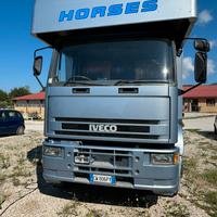 Camion trasporto Cavalli (IVECO)