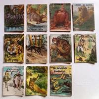 Librettini Giochi Episodi Di Cacce Avventure