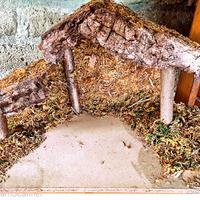 Presepe