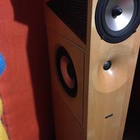 Speakers a torre Amphion.