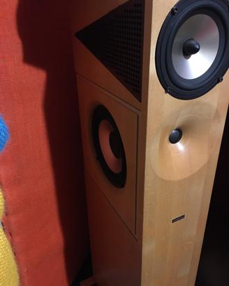 Speakers a torre Amphion.