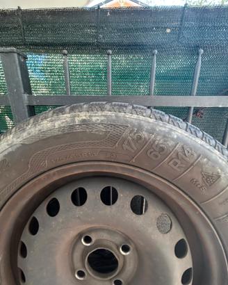 gomme da neve