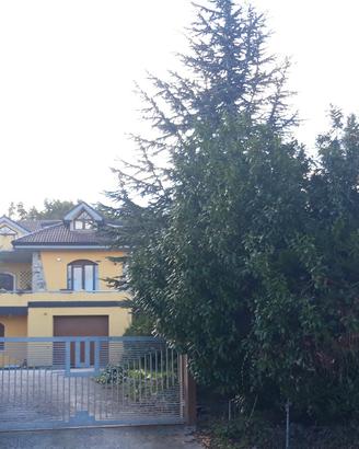 Porzione di villa bifamiliare