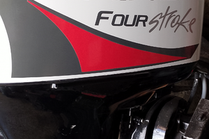 Mariner Mercury 40/50 hp