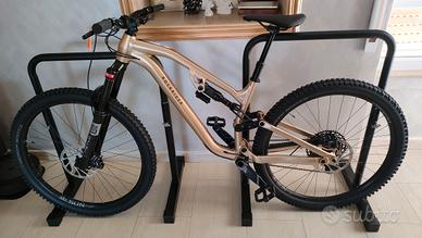 BICI MTB ALL MOUNTAIN FEEL 700 LT - M 
