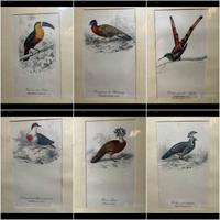 cromolitografie vecchie stampe d'arte