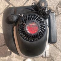 MOTORE PER TAGLIAERBA