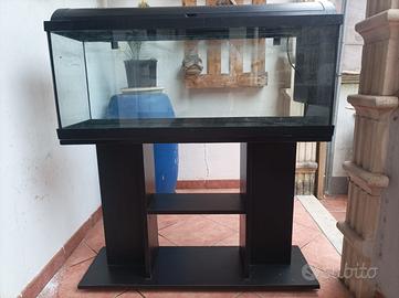 acquario