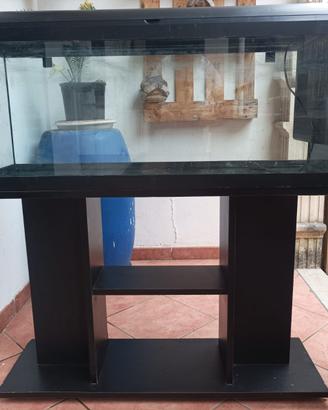 acquario