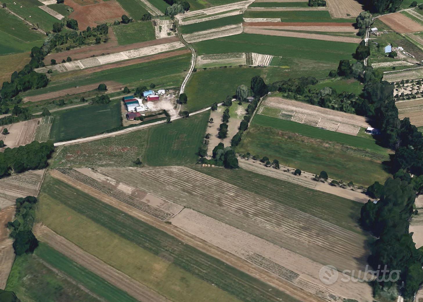 Terreno agricolo pianeggiante 2.300 m² con irrigaz - Vista 5